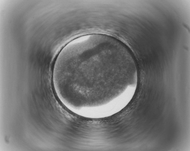 X0000102041508200808151354