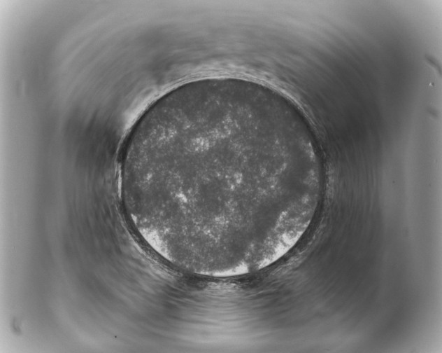 X0000102041509200808151354