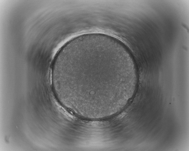 X0000102041510200808151354