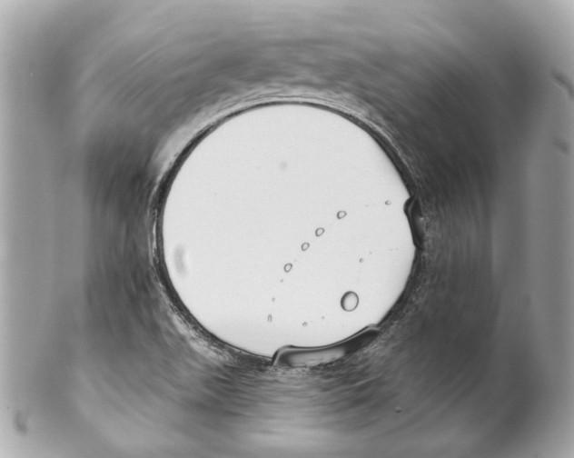 X0000102041511200808151354