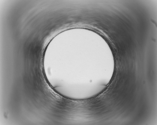 X0000102041512200808151354