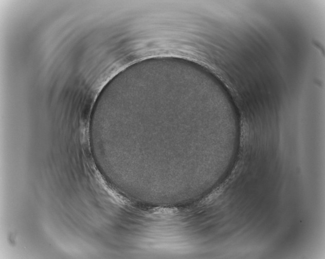 X0000102041513200808151354