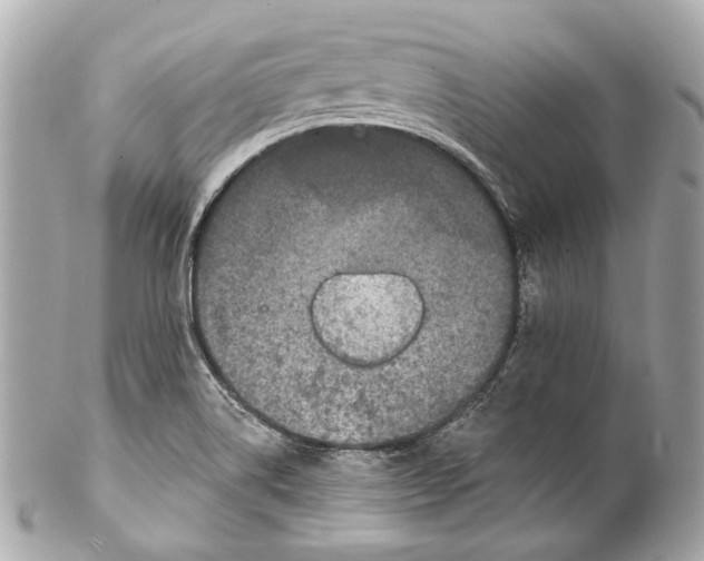 X0000102041514200808151354