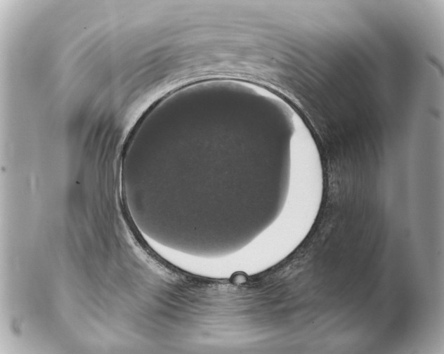 X0000102041515200808151354