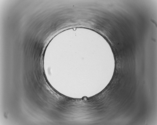 X0000102041516200808151354