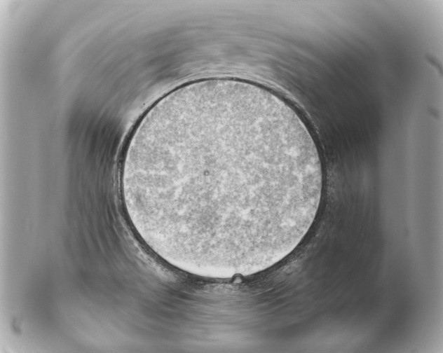 X0000102041517200808151354