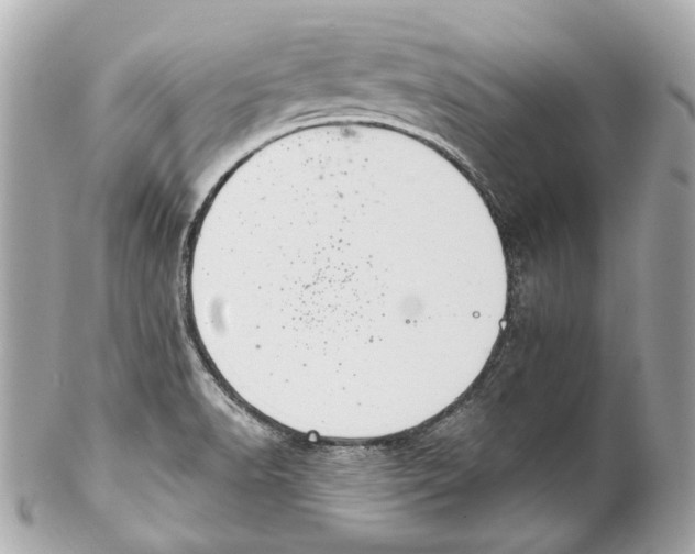 X0000102041518200808151354