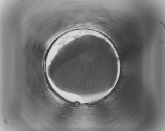 X0000102041519200808151354