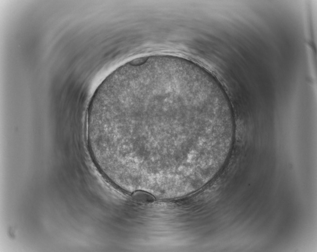 X0000102041520200808151354