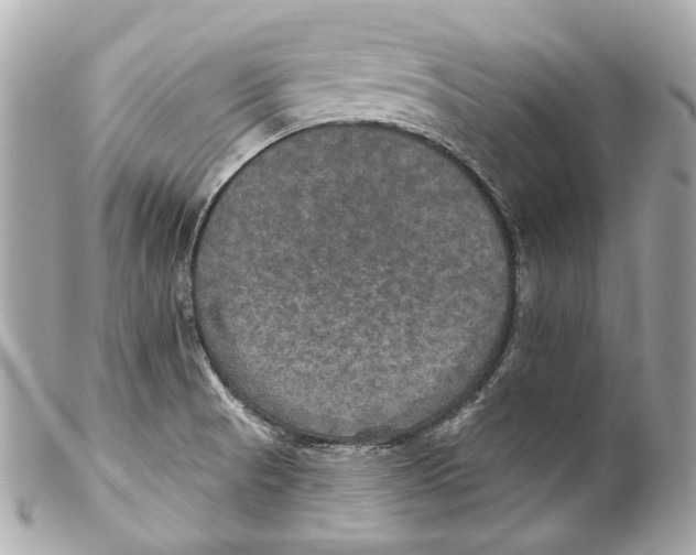 X0000102041521200808151354