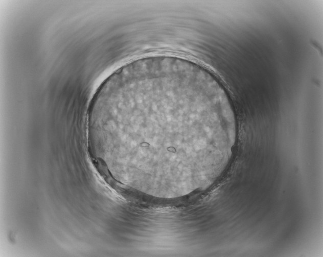 X0000102041522200808151354