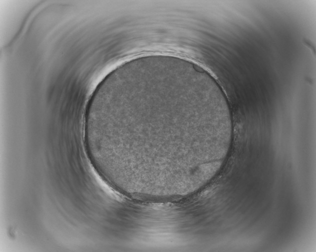 X0000102041523200808151354