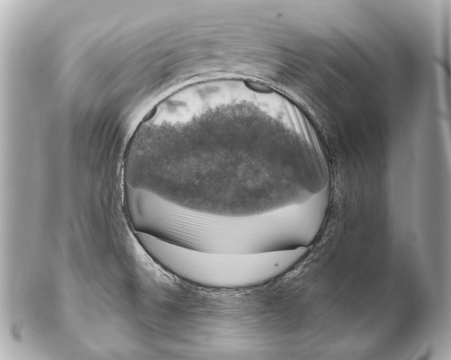 X0000102041524200808151354