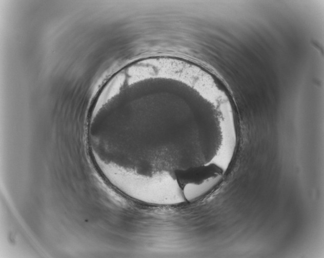 X0000102041525200808151354