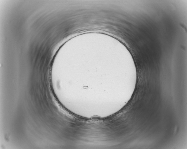 X0000102041526200808151354