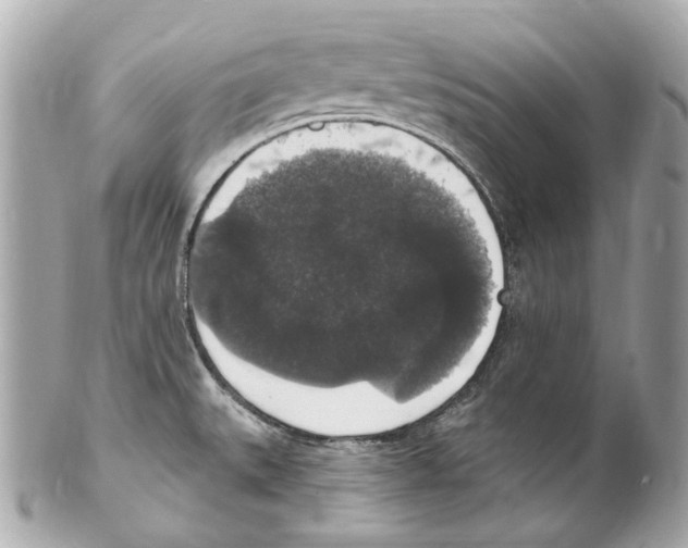 X0000102041527200808151354