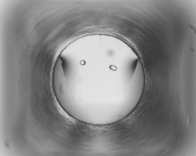 X0000102041528200808151354