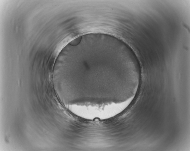 X0000102041529200808151354