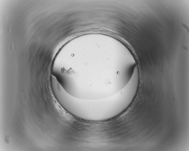 X0000102041530200808151354