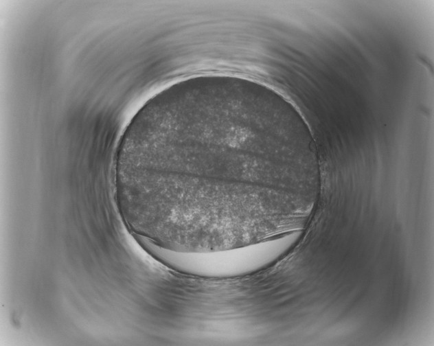 X0000102041531200808151354