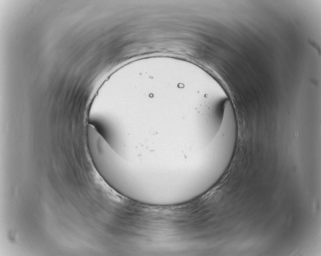 X0000102041532200808151354