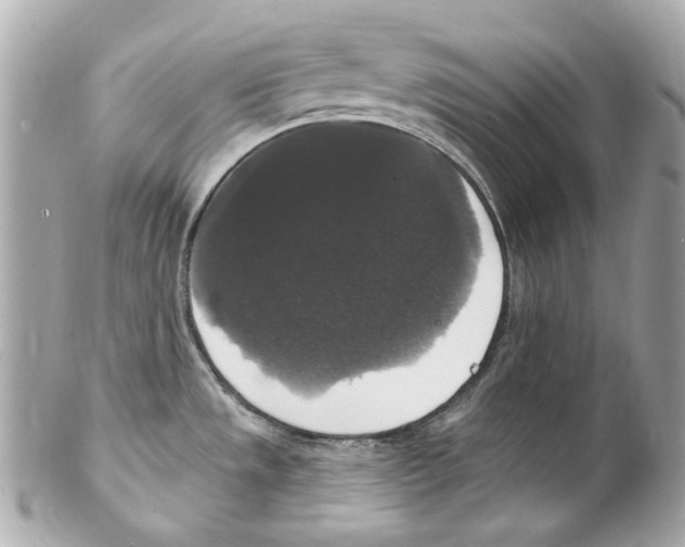 X0000102041533200808151354