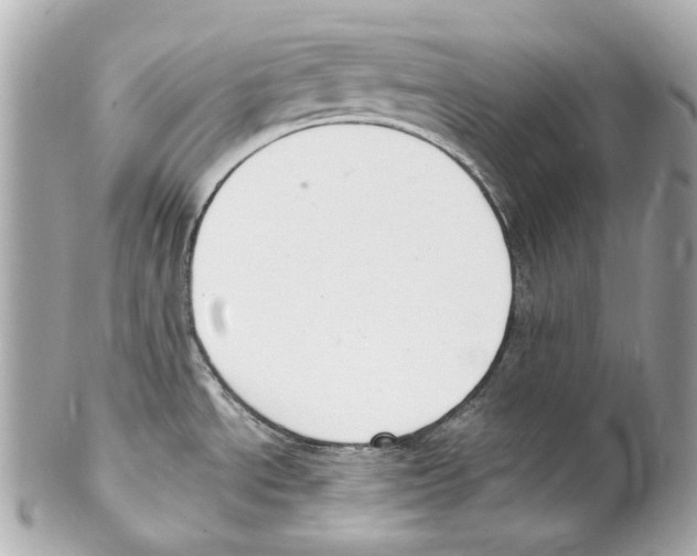 X0000102041534200808151354