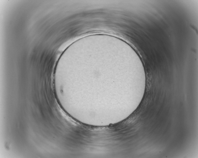 X0000102041535200808151354