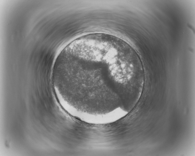 X0000102041536200808151354