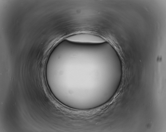 X0000102220001200807250756