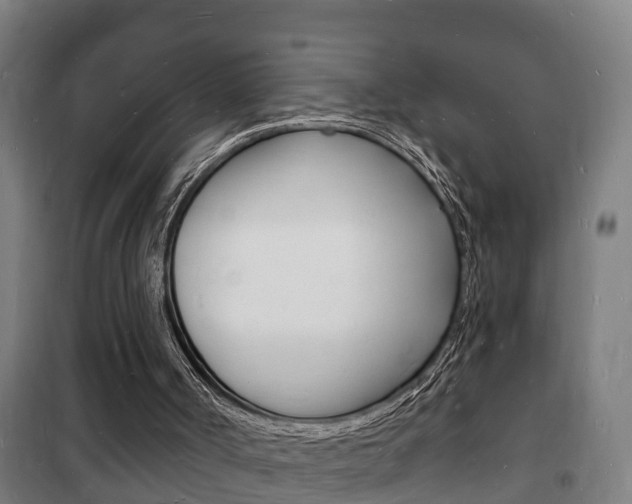 X0000102220002200807250756
