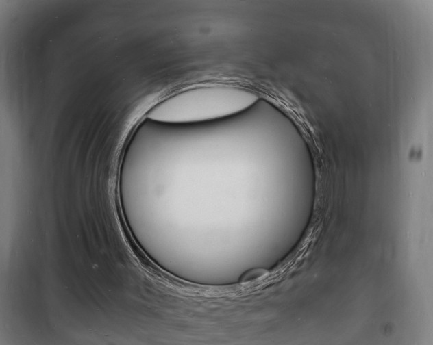 X0000102220003200807250756