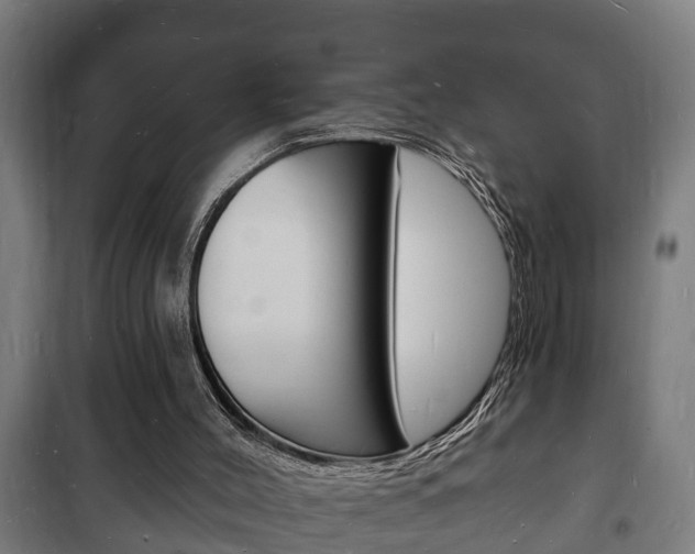 X0000102220004200807250756