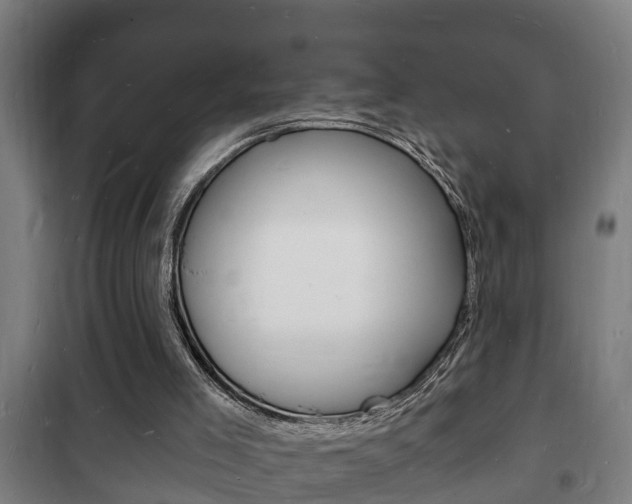 X0000102220005200807250756