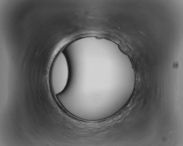 X0000102220006200807250756