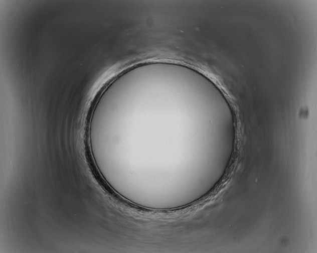 X0000102220007200807250756