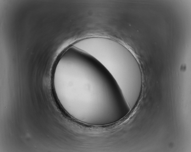 X0000102220008200807250756
