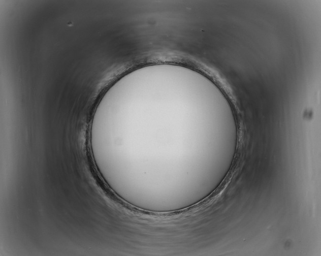 X0000102220010200807250756