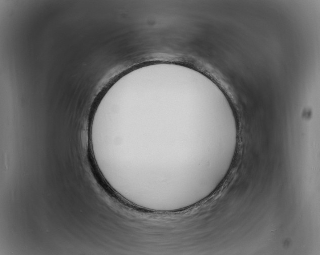 X0000102220011200807250756