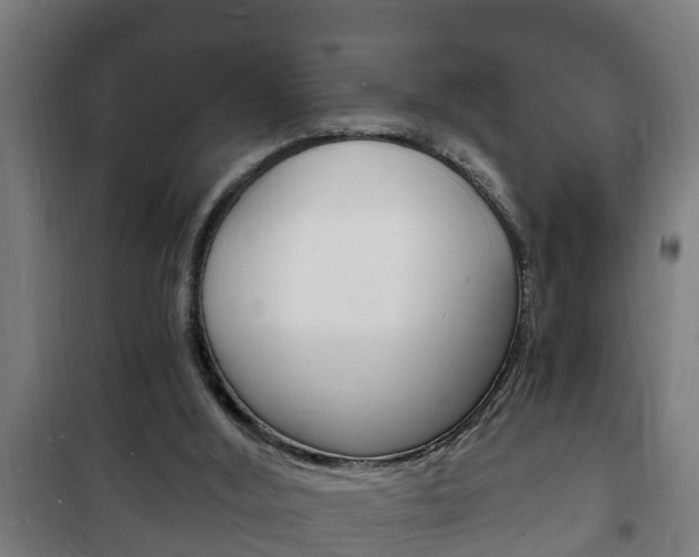 X0000102220012200807250756