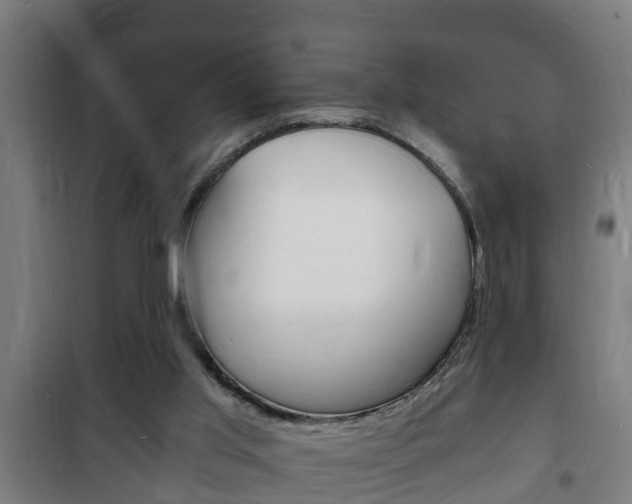 X0000102220013200807250756