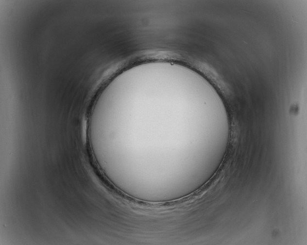 X0000102220014200807250756