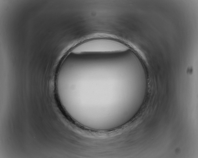 X0000102220015200807250756