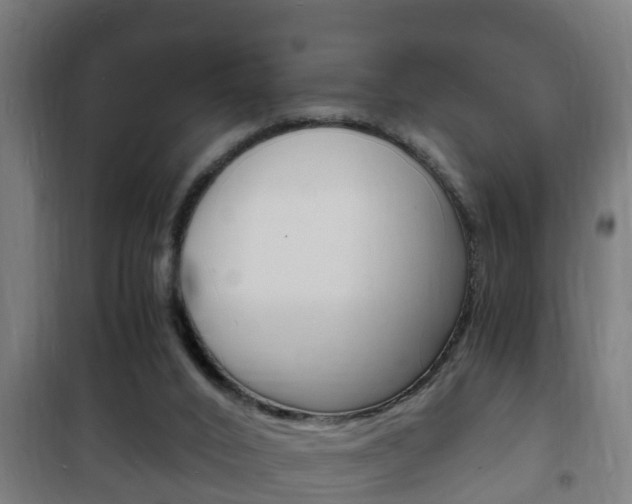 X0000102220016200807250756