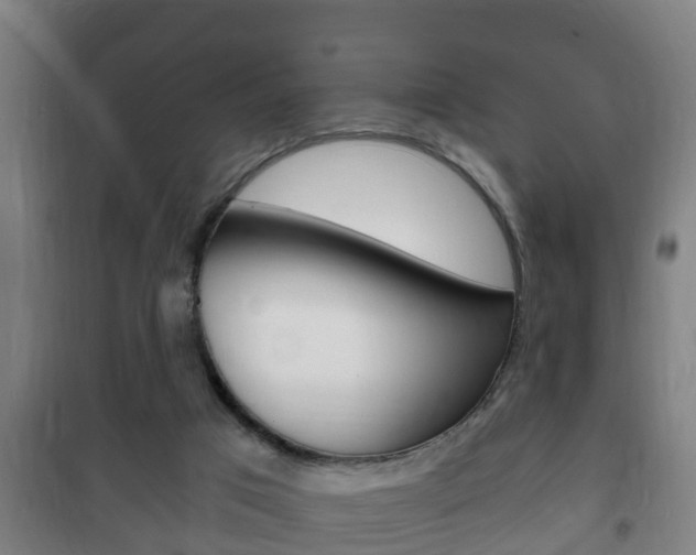 X0000102220017200807250756