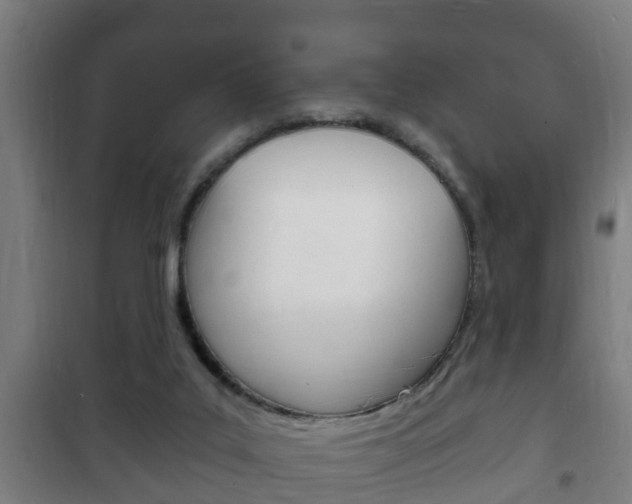 X0000102220019200807250756