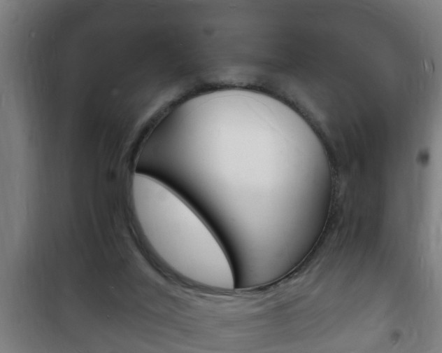 X0000102220020200807250756