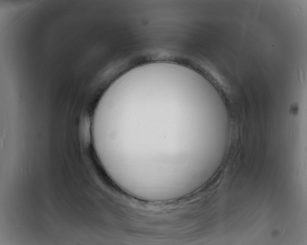 X0000102220022200807250756
