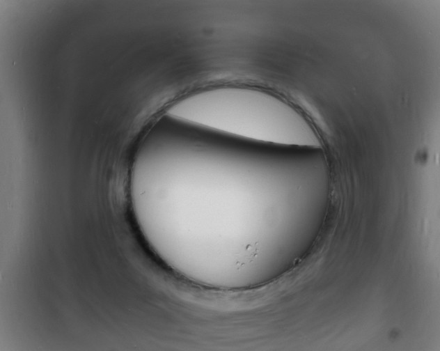 X0000102220023200807250756