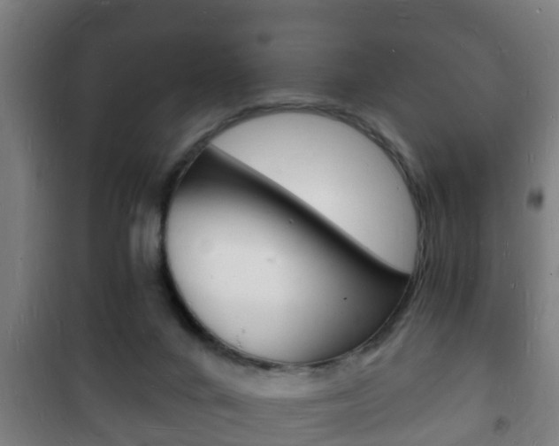 X0000102220024200807250756